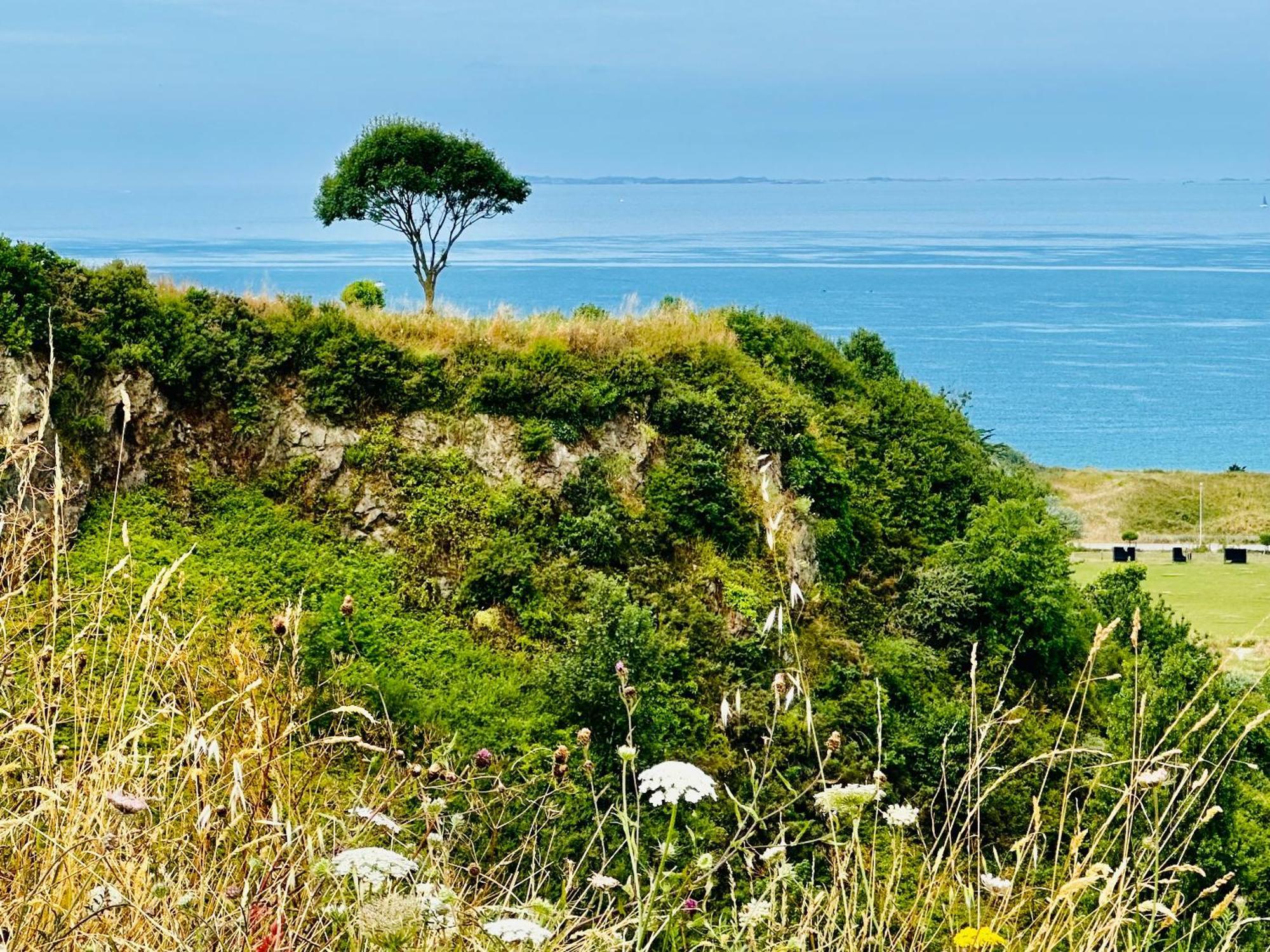 Le Refuge De Lalbatros Vert Donville-les-Bains Exteriér fotografie